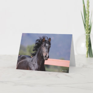 Bob Langrish   Back Andalucian Headshot Karte