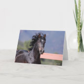 Bob Langrish | Back Andalucian Headshot Karte (Vorderseite)