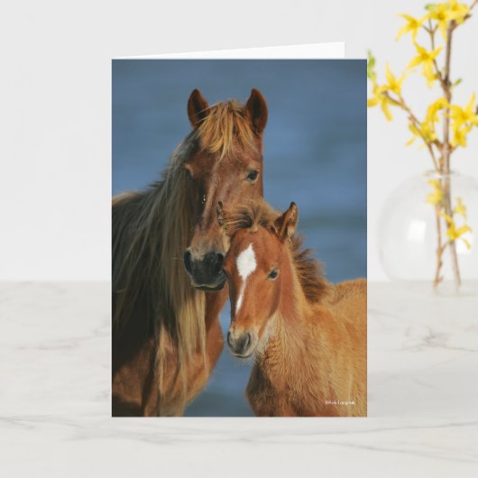 Bob Langrish | Banker Pony Mare and Foal Headshot Karte (Gelbe Blume)