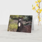 Bob Langrish | Bashkir Curly Mare Headshot Karte (Gelbe Blume)