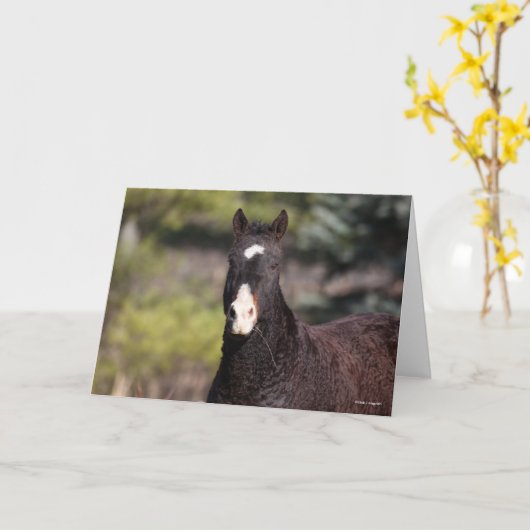 Bob Langrish | Bashkir Curly Mare Headshot Karte (Gelbe Blume)