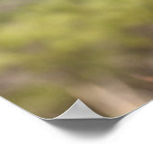 Bob Langrish | Bashkir Curly Mare Headshot Poster (Ecke)