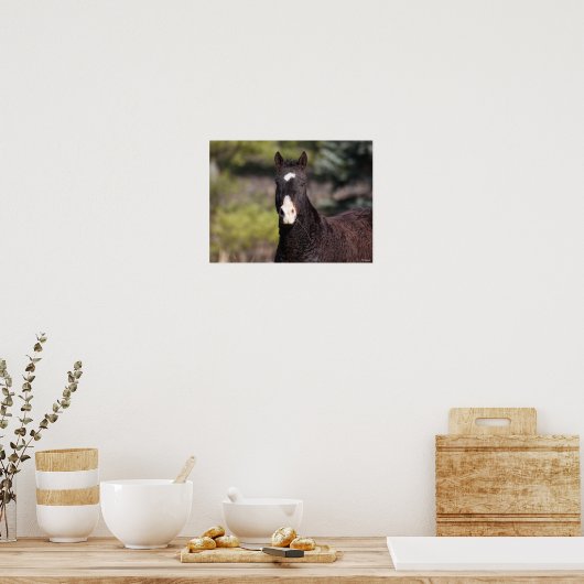 Bob Langrish | Bashkir Curly Mare Headshot Poster (Küche)