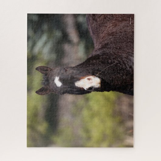 Bob Langrish | Bashkir Curly Mare Headshot Puzzle (Vertikal)