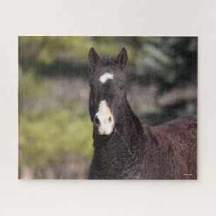 Bob Langrish Bashkir Curly Mare Headshot Puzzle