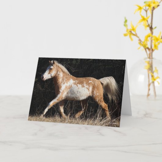 Bob Langrish Bashkir Curly Pferdeschwalbe Karte (Gelbe Blume)