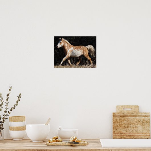 Bob Langrish Bashkir Curly Pferdeschwalbe Poster (Küche)