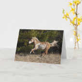 Bob Langrish | Bashkir Curly Stallion Running Karte (Gelbe Blume)