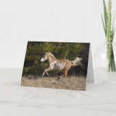 Bob Langrish | Bashkir Curly Stallion Running Karte (Vorderseite)