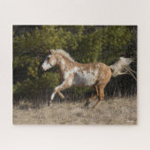 Bob Langrish | Bashkir Curly Stallion Running Puzzle (Horizontal)
