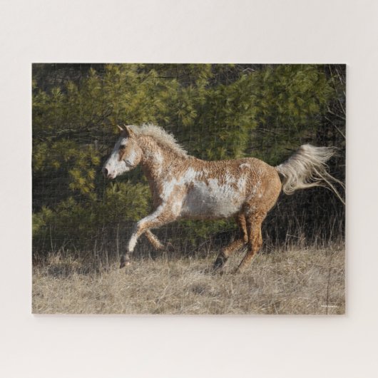 Bob Langrish | Bashkir Curly Stallion Running Puzzle (Horizontal)