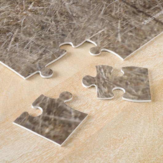 Bob Langrish | Bashkir Curly Stallion Running Puzzle (Seite)