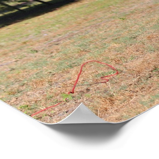 Bob Langrish | Bay Akhal Teke Stallion Poster (Ecke)