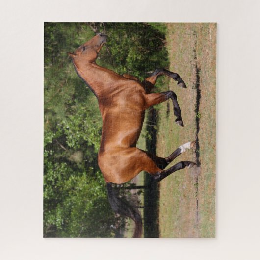 Bob Langrish | Bay Akhal Teke Stallion Running Puzzle (Vertikal)