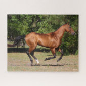 Bob Langrish | Bay Akhal Teke Stallion Running Puzzle (Horizontal)