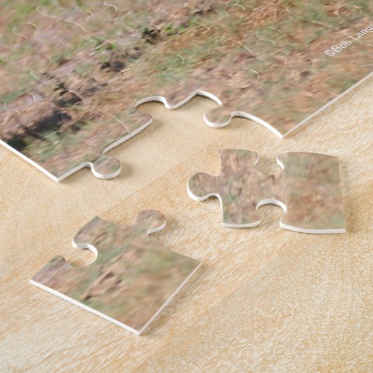 Bob Langrish | Bay Akhal Teke Stallion Running Puzzle (Seite)