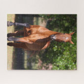 Bob Langrish | Bay Akhal Teke Stehend Puzzle (Horizontal)