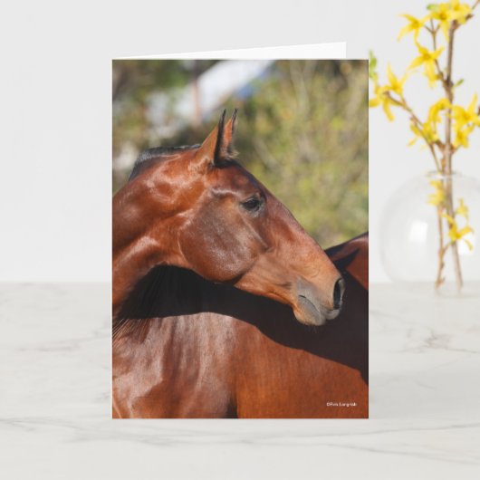 Bob Langrish | Bay Andalucian Headshot Karte (Gelbe Blume)