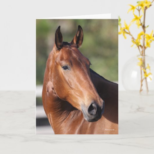 Bob Langrish | Bay Andalucian Headshot Karte (Gelbe Blume)