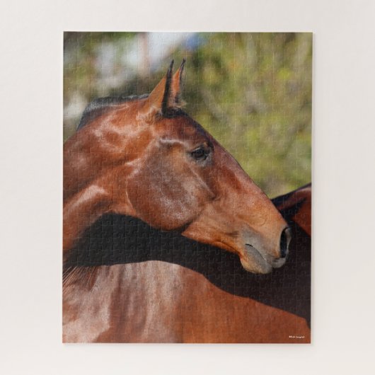 Bob Langrish | Bay Andalucian Headshot Puzzle (Vertikal)