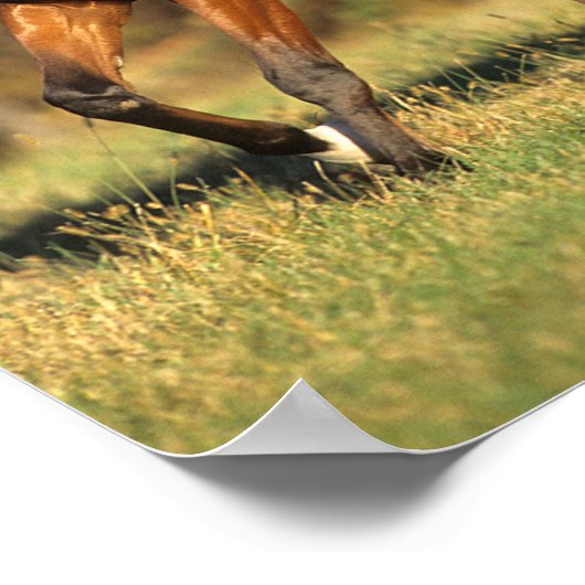 Bob Langrish | Bay Arab Autumnal Background Poster (Ecke)