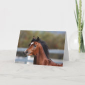 Bob Langrish | Bay Arab Colt Headshot Karte (Vorderseite)