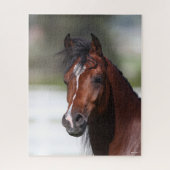 Bob Langrish | Bay Arab Colt Headshot Puzzle (Vertikal)