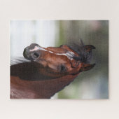 Bob Langrish | Bay Arab Colt Headshot Puzzle (Horizontal)