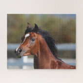 Bob Langrish | Bay Arab Colt Headshot Puzzle (Horizontal)