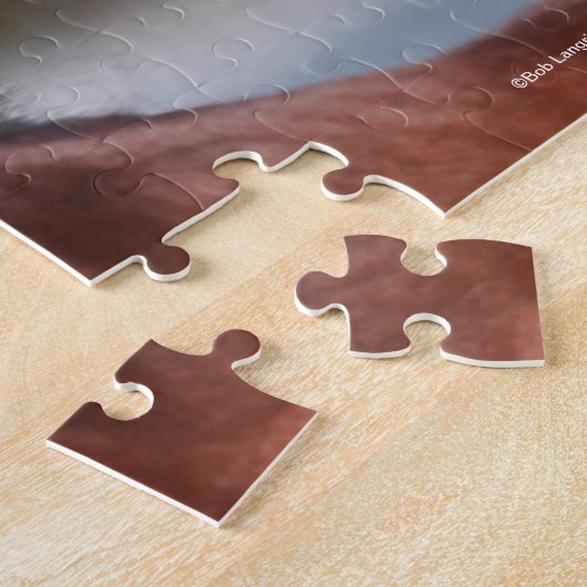 Bob Langrish | Bay Arab Colt Headshot Puzzle (Seite)