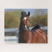 Bob Langrish | Bay Arab Colt Headshot Puzzle (Horizontal)