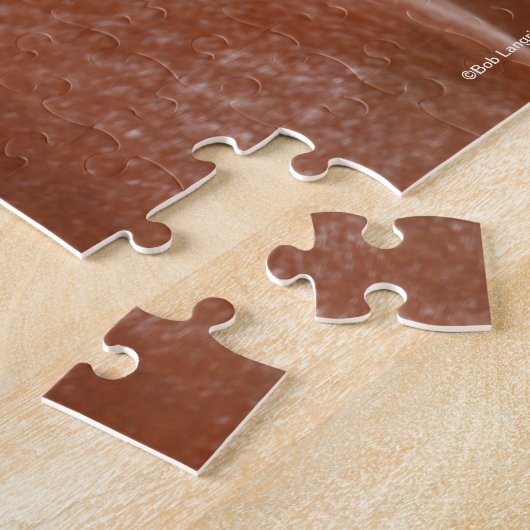 Bob Langrish | Bay Arab Colt Headshot Puzzle (Seite)