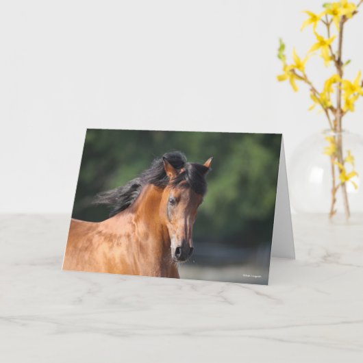 Bob Langrish | Bay Arab Headshot Karte (Gelbe Blume)