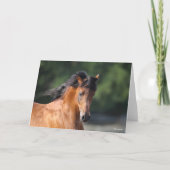 Bob Langrish | Bay Arab Headshot Karte (Vorderseite)