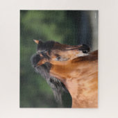 Bob Langrish | Bay Arab Headshot Puzzle (Vertikal)