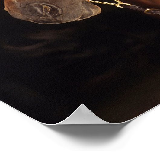 Bob Langrish | Bay Arab Stallion Headshot Sunset Poster (Ecke)