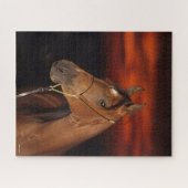 Bob Langrish | Bay Arab Stallion Headshot Sunset Puzzle (Horizontal)