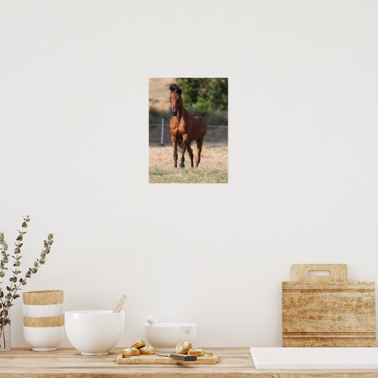 Bob Langrish | Bay Arab Stehend Manblasen Poster (Küche)