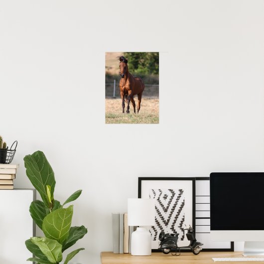 Bob Langrish | Bay Arab Stehend Manblasen Poster (Heimbüro)