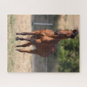 Bob Langrish | Bay Arab Stehend Manblasen Puzzle (Horizontal)