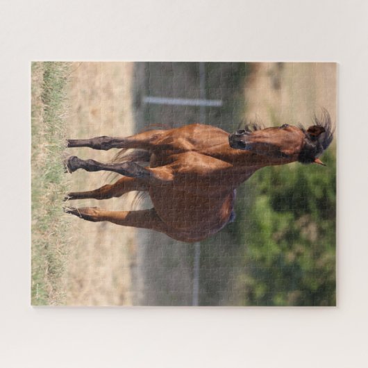 Bob Langrish | Bay Arab Stehend Manblasen Puzzle (Horizontal)