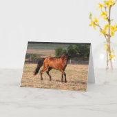 Bob Langrish | Bay Arab Walking Karte (Gelbe Blume)