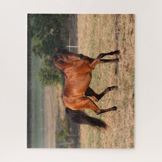 Bob Langrish | Bay Arab Walking Puzzle (Vertikal)