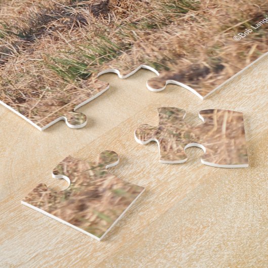 Bob Langrish | Bay Arab Walking Puzzle (Seite)