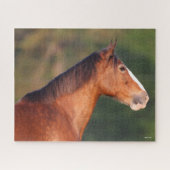Bob Langrish | Bay Clydesdale Headshot Puzzle (Horizontal)
