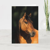 Bob Langrish | Bay Kiger Mustang Stallion Headshot Karte (Vorderseite)