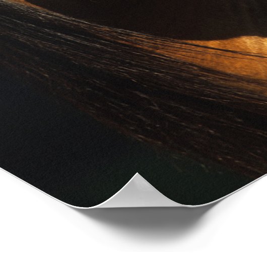 Bob Langrish | Bay Kiger Mustang Stallion Headshot Poster (Ecke)