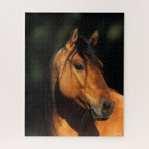 Bob Langrish   Bay Kiger Mustang Stallion Headshot Puzzle
