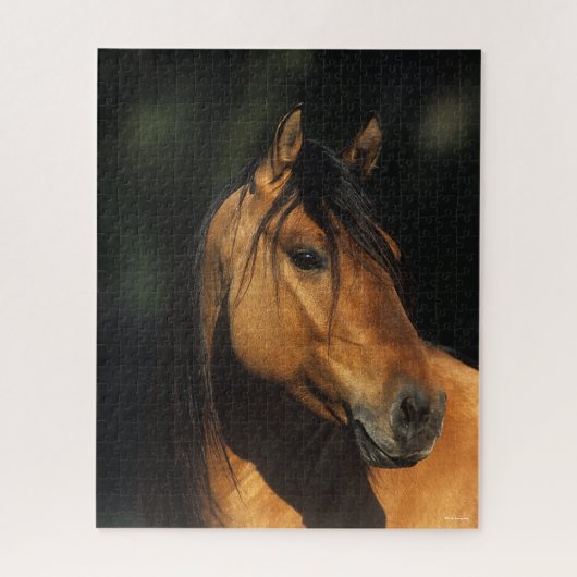 Bob Langrish | Bay Kiger Mustang Stallion Headshot Puzzle (Vertikal)