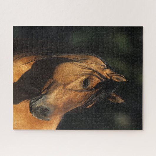 Bob Langrish | Bay Kiger Mustang Stallion Headshot Puzzle (Horizontal)